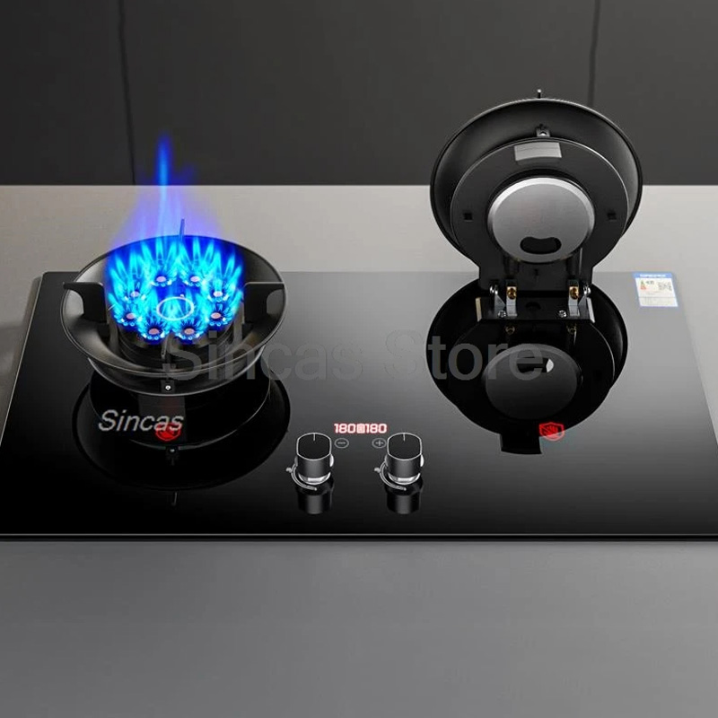 Two-burner Gas Stove Desktop F - Commercial Kitchen Stove 리뷰 및 가격