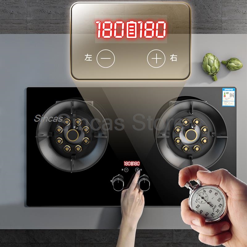 Two-burner Gas Stove Desktop F - Commercial Kitchen Stove 리뷰 및 가격