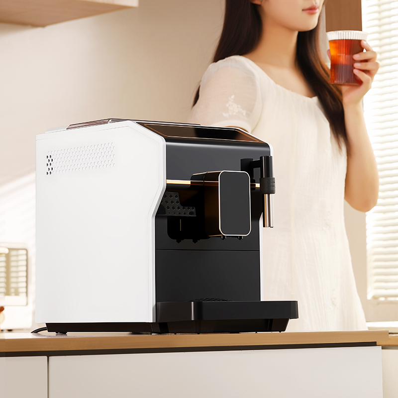 Super Business Portable Coffee - Commercial Espresso Machine 리뷰 및 가격