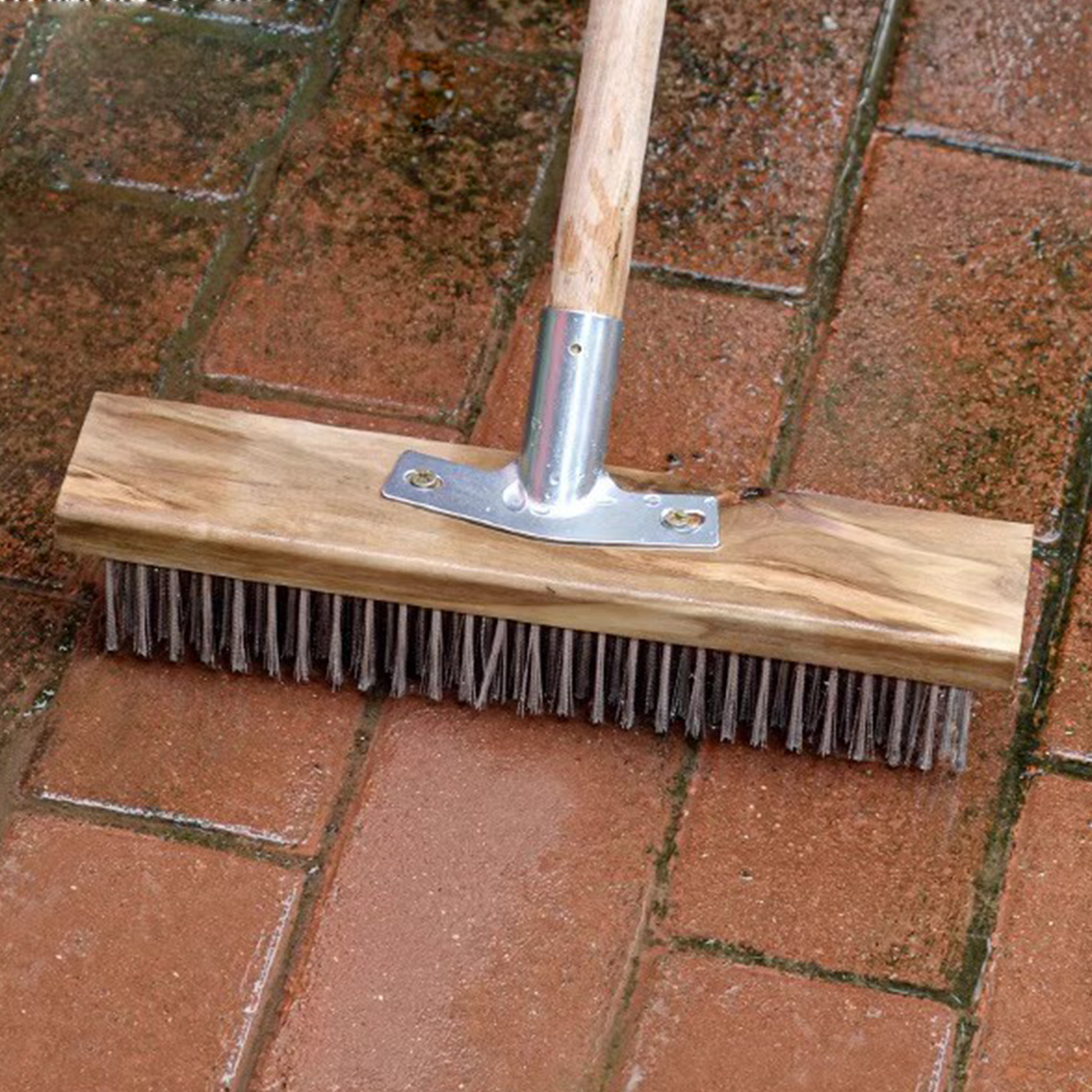 Wire Brush Tough Bristles Grou - Commercial Kitchen Cleaning 리뷰 및 가격